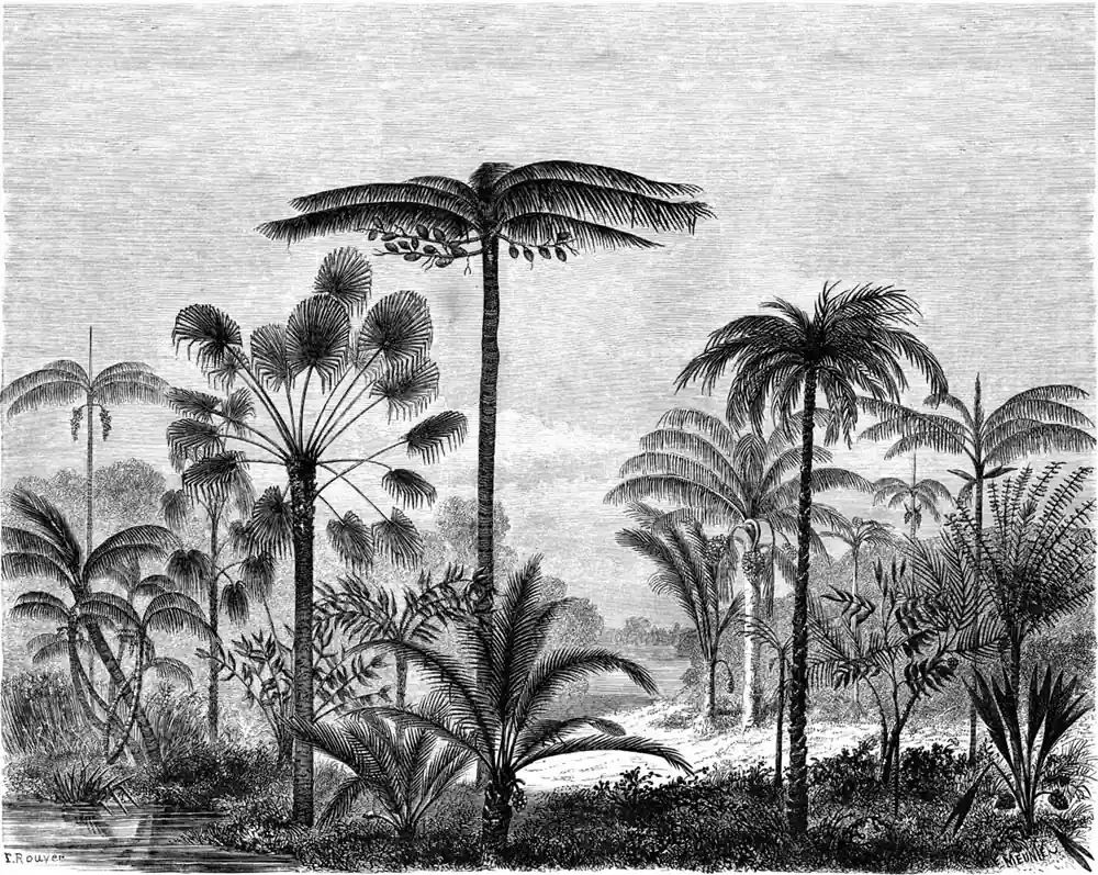 Zertifiziert Schwarz-weiß Fototapete - Dschungel, Palmen, Tapete Wandbilder 158952, 350x279cm, Paradise, Esta