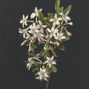 Fototapete Zweig Azaleen, Tapete Wandbilder 158885, 186 x 279 cm, Blush, Esta Home Sofort Bestellen