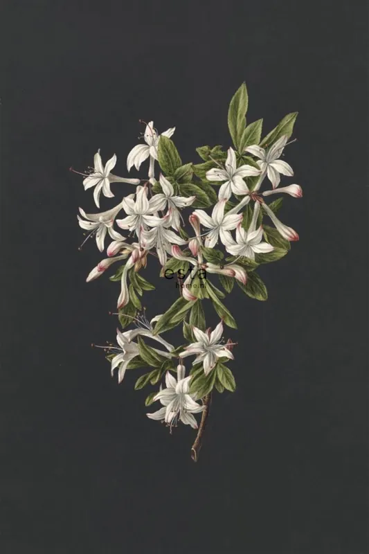 Fototapete Zweig Azaleen, Tapete Wandbilder 158885, 186 x 279 cm, Blush, Esta Home Sofort Bestellen