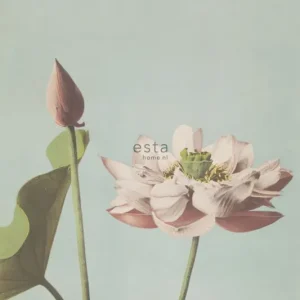 Fototapete, Seerose Blume, Tapete Wandbilder 158890, 186 x 279 cm, Blush, Esta Home Geprüft