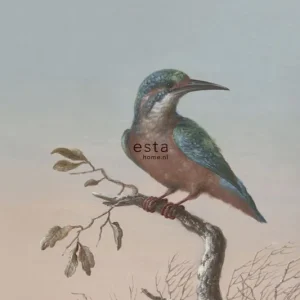 Sale Fototapete, Eisvogel, Tapete Wandbilder 158888, 186 x 279 cm, Blush, Esta Home