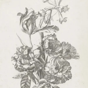 Aktuell Fototapete, Gravur eines Blumenstraußes, Tapete Wandbilder 158887, 186 x 279 cm, Blush, Esta Home